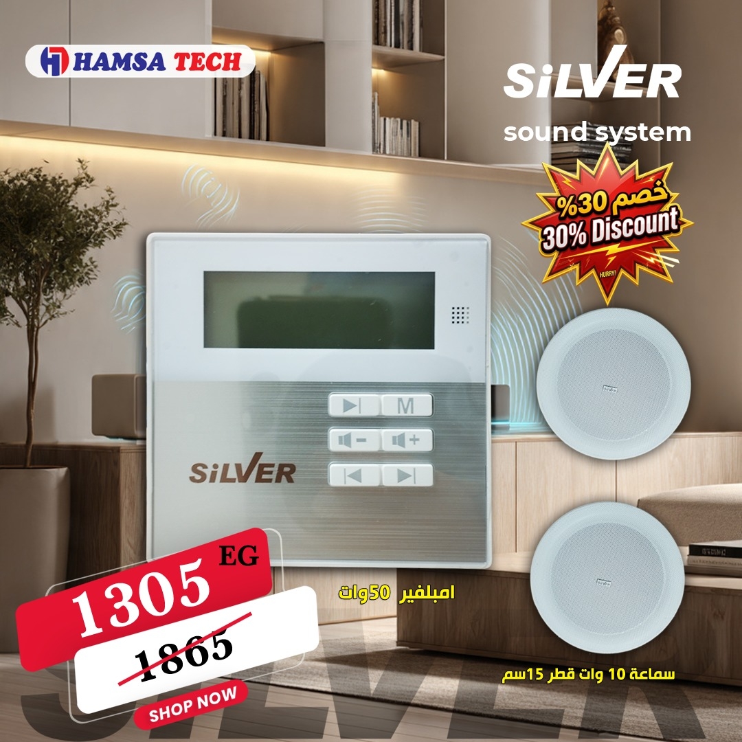 Silver offer amplifier Z60C-C2 and 2 speaker of Z328H