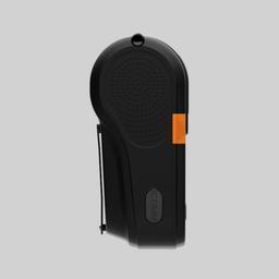 rpp30